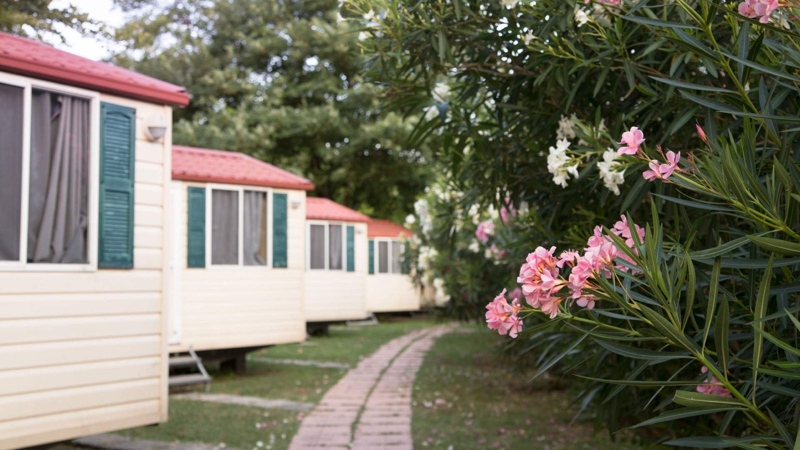 Expert Mobile Home Park Financing with AssumeMy